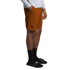 The North Face Paramount Trail Short - Men's